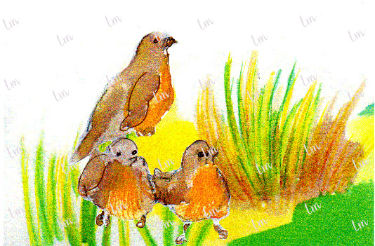 Se iban junto a mamá a darse chapuzones a la fuente.