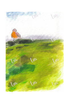 ¿Cómo haré para saber donde se encuentra el nido?