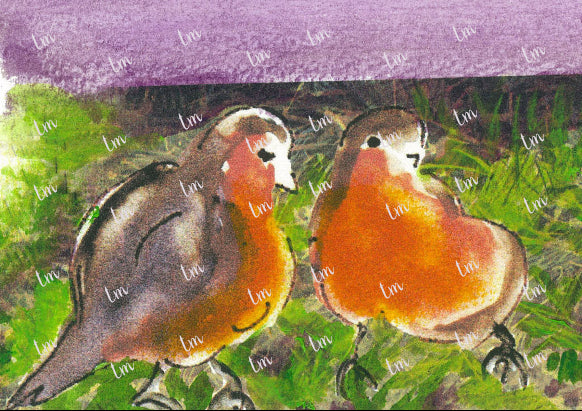 Papa y mamá petirrojos