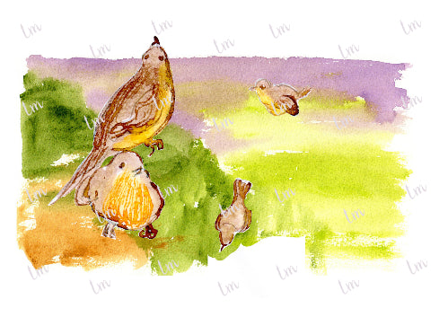 Pitxi y Mitxi jugando con sus padres